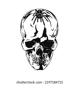 vector illustration of a skull with a spider