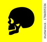 Vector illustration of skull visible from the side.