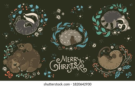 Vector illustration of sleeping animals. Big set of christmas animals with decoration of branhes, leaves, barries. Marry christmas poster.