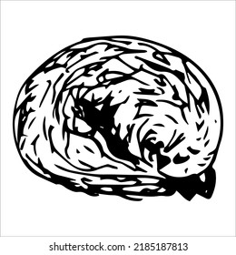 Ilustración vectorial de un gato dormido acurrucada en una bola. Ilustración del doodle. Obtenido a mano. Acogedor hogar, relajación y relajación. Se puede usar para pegatinas, patrones, papel de envoltura, logotipos, iconos.