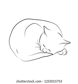 Vector illustration. Sleeping cat sketch.EPS 8