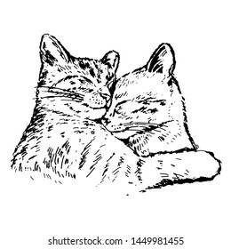 Vector illustration of sleeping cats in graphic style