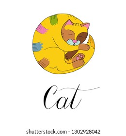 Vector illustration sleeping colorful cat on white background with calligraphy
