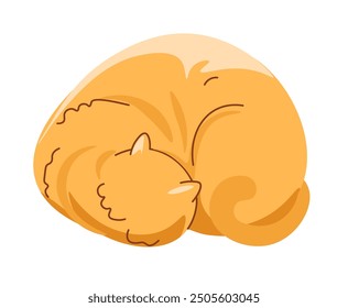 Ilustración vectorial de un gato naranja enroscado durmiendo, aislado sobre un fondo blanco. Perfecto para diseños con temática de mascotas, ilustraciones acogedoras o proyectos de relajación.