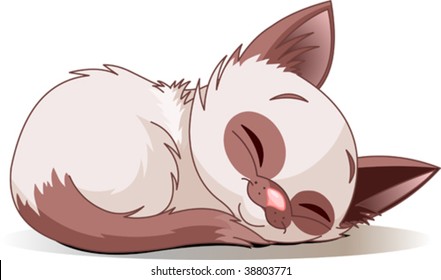 Vector illustration of sleeping cute Siamese kitten