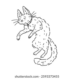 Vector illustration of sleeping fluffy cat with collar, side view on white background. For children coloring and design with pets for veterinary clinic