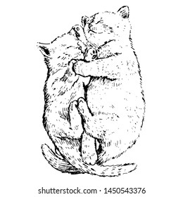 Vector illustration of sleeping kittens in graphic style