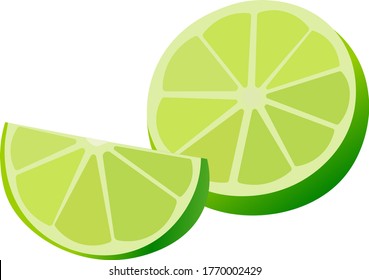 vector illustration slice of fresh green lime or lemon fruit