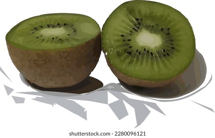 vector illustration of sliced ​​kiwi fruit on a white background