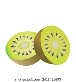 Vector illustration of sliced ​​kiwi fruit on white background. Actinidia