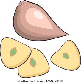 Vector illustration of sliced garlic, garlic clove