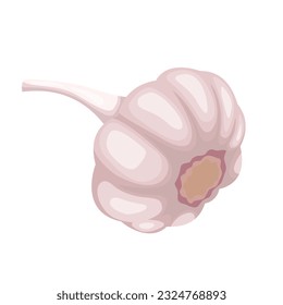 Ilustración vectorial de ajo cortado, clavo de ajo, bombilla de ajo en dibujos animados de estilo plano aislados en fondo blanco. Icono de verduras para el diseño de elementos empresariales y educativos.