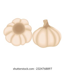 Vector illustration of sliced garlic, garlic clove, garlic bulb in cartoon flat style design isolated on white background. Vegetable icon for business and education element design.
