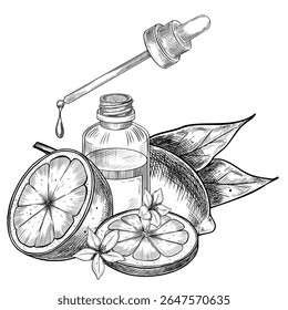 Vector illustration of sliced lemons with leaves and flowers. Linear drawing of Citrus fruits for recipes and cosmetics. Outline engraving with glass battle and pipette for essential oil.