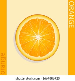 Vector illustration of a sliced orange. Juicy illustration. Fruit isolated from the background. Suitable for use in packaging cosmetics and food and juices.