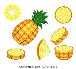 Ilustración vectorial de piña en rodajas sobre un fondo blanco