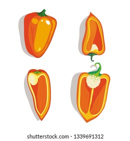 Vector illustration of sliced and whole red pepper on the white background.