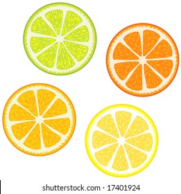 Vector illustration of Slices of citrus fruits: Orange, red grapefruit, lemon and lime. Great for making patterns