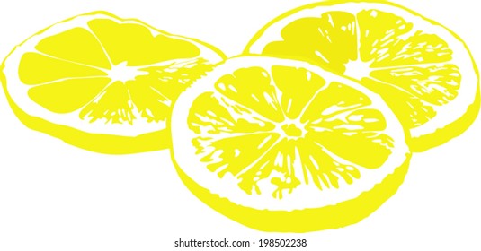 Vector illustration of slices of lemon on white background