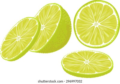 Vector illustration of slices of lime in different angles.