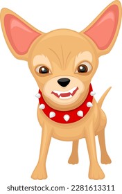 Vector illustration of a slightly angry cartoon chihuahua dog in a red spiky collar. 