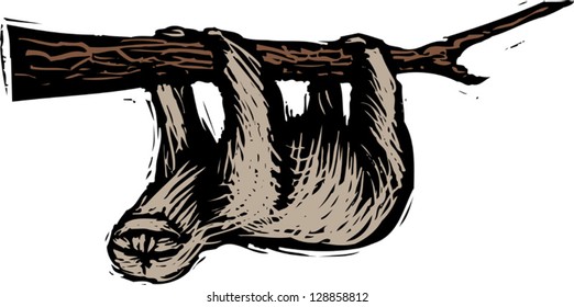 Vector illustration of a sloth