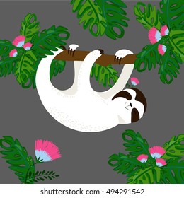 vector illustration of a sloth