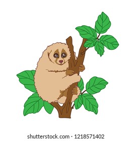 vector illustration of a small animal sitting on a tree, cute lemur Lori  in nature, cartoon design