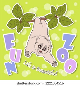 vector illustration of a small animal sitting on a tree, cute lemur Lori  in nature, cartoon design