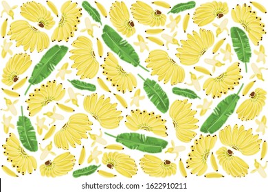 vector illustration of small banana and leaf design with lettering banana background brown and white text fresh farm organic product EPS10