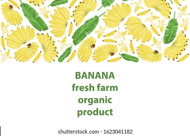 vector illustration of small banana and leaf design with lettering banana background brown and white text fresh farm organic product EPS10
