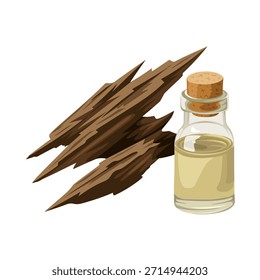 Vector illustration of a small bottle of agarwood oil and several pieces of agarwood, isolated on a white background.