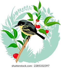 vector illustration of small brazilian ferreirinho relógio bird on pitangueira branch surrounded by circular border formed by plants