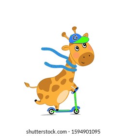 Vector illustration of a small cute giraffe on a scooter isolated on white background.  Children's print on clothes, greeting card, party invitation. 
