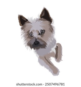 vector illustration of a small dog toy terrier animal portrait