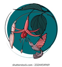 Vector illustration small exotic hummingbird and beautiful exotic pink flower. Colibri drinks nectar. T shirt design and banner.