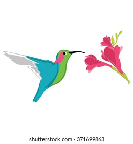 Vector illustration small exotic hummingbird and beautiful exotic pink flower. Nature paradise