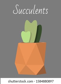 Vector illustration of a small family of lithops in a geometric pot.