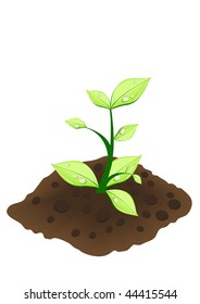 Ilustración vectorial de una pequeña planta verde