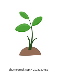 vector illustration of a small green tree
