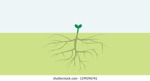 vector illustration of small plant with big root for visible results concept with free space for text