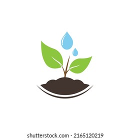 Vector illustration of a small plant growing and water drops on a white background. Logo design concept.