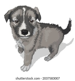 Ilustración vectorial de una imagen pequeña a cachorro, aislada en un fondo blanco. Espacio publicitario. EPS 10