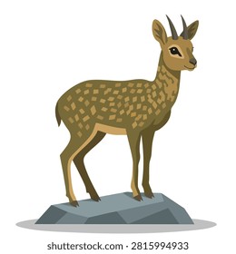 A vector illustration of a small spotted dik dik antelope standing gracefully on a rock isolated on a white background