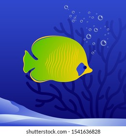 Vector illustration of a small yellow fish on a coral background