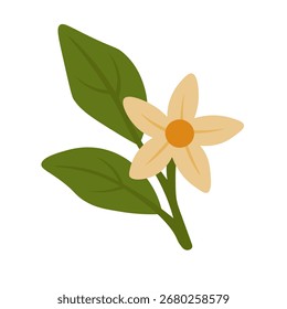 Vector illustration of small yellow flower with green leaves in simple flat cartoon doodle style.
