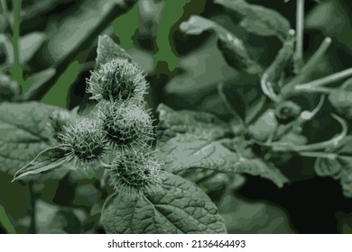 Vector illustration with smaller burdock flowers. Green background in a smaller range of color tones. A biennial plant growing like a weed most often in dumps.