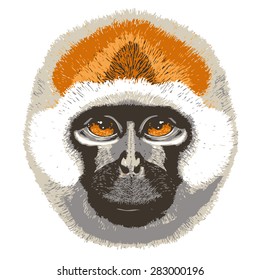 Vector illustration of smiling cheerful monkeys