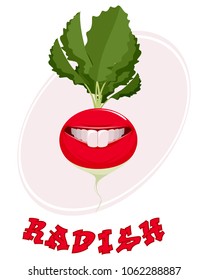 Vector illustration of smiling radish on white