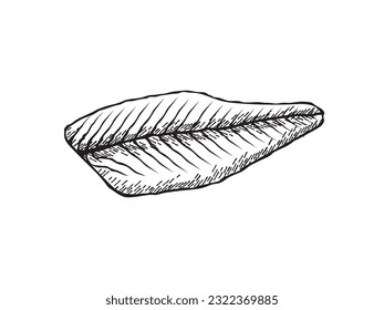 Vector illustration of a smoked salmon slice in black and white sketch style